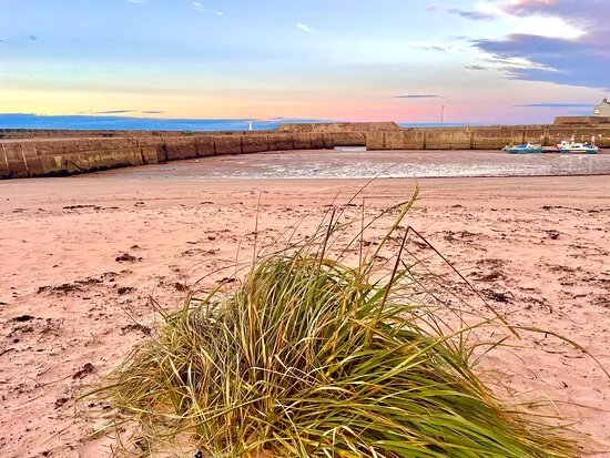 Cullen Harbour