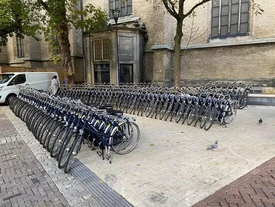 TON Fietsverhuur