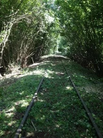 Railbike Limburg