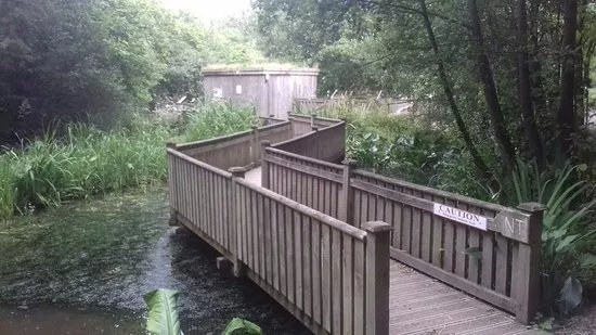 Conwy Water Gardens