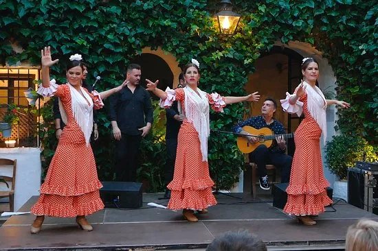 Flamenco Insights