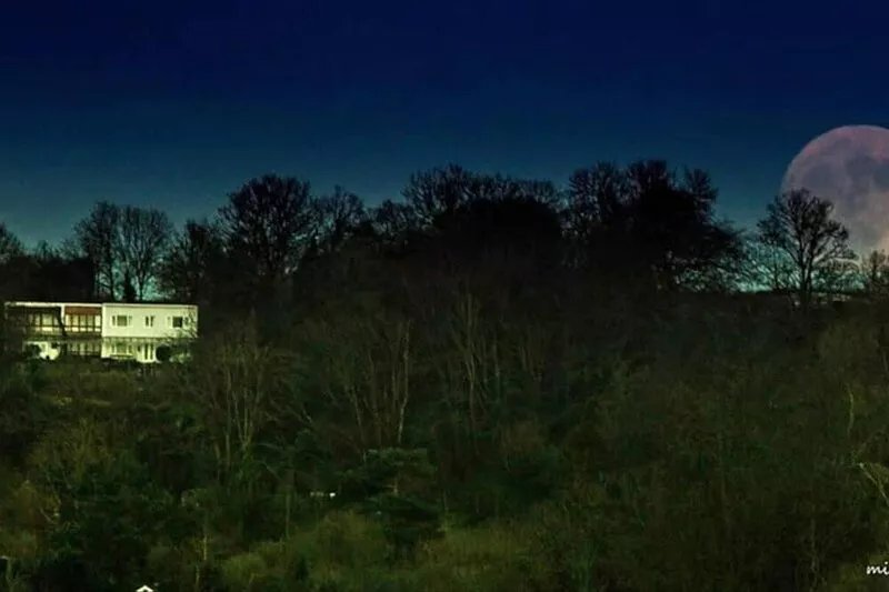 Relaxing, secluded house in Glastonbury, Somerest. By trees, views and the Tor