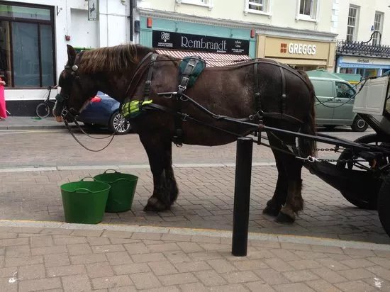 Tenby Carriage Rides