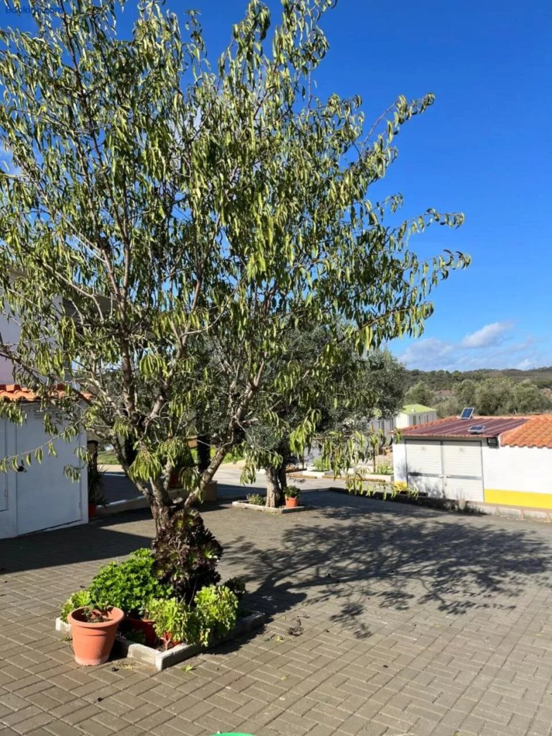 Hospedaria O Castelo