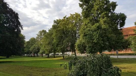 Bebelpark
