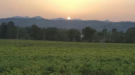 Azienda Agricola Meoli