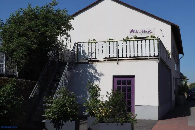 Rheinblick Gutsausschank & Gaestehaus