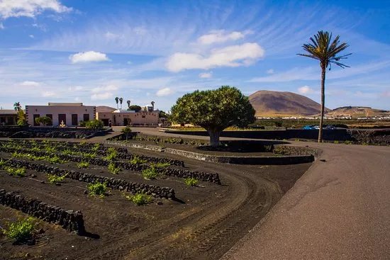 Bodegas La Florida