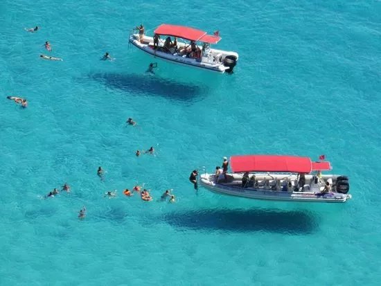 Noleggio Nautico Shark Bay
