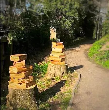 Old Library Wood