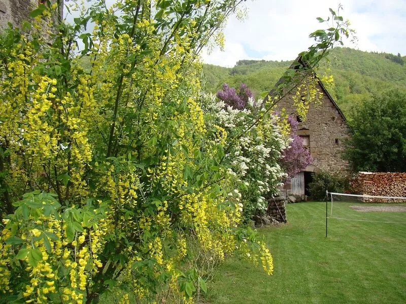 Gite de La Salle in fortified house of the sixteenth century in Vic-sur-Cere