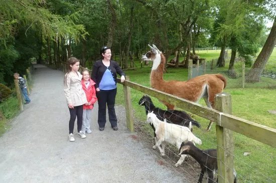 Turoe Pet Farm & Leisure Park