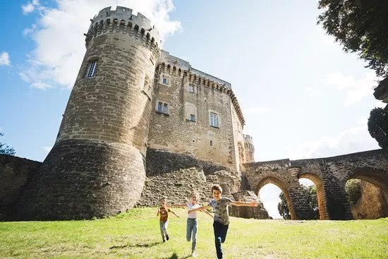 Chateau de Suze-la-Rousse