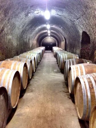 St. Andrea Pinceszet Winery
