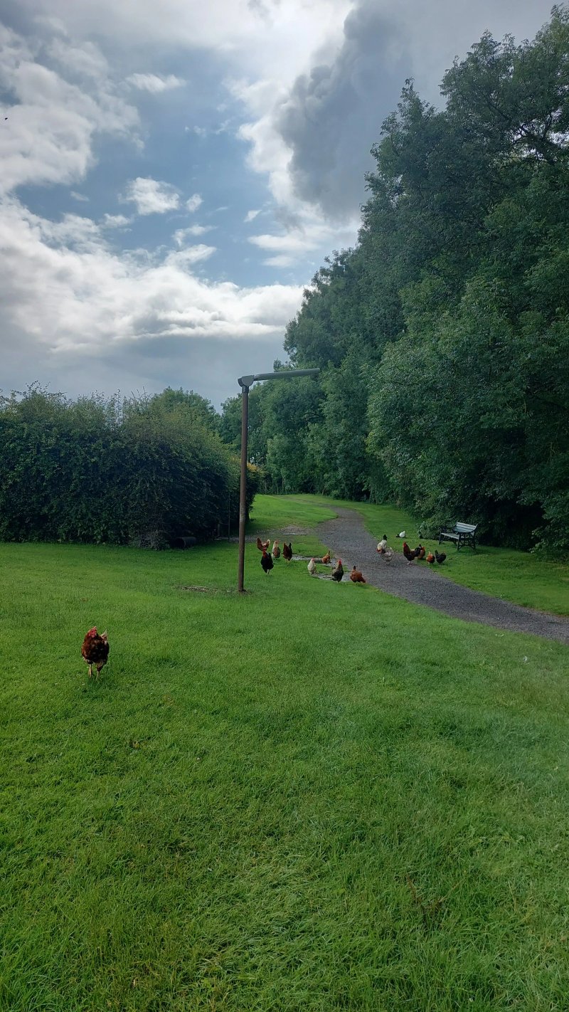 Borrisokane Town Park