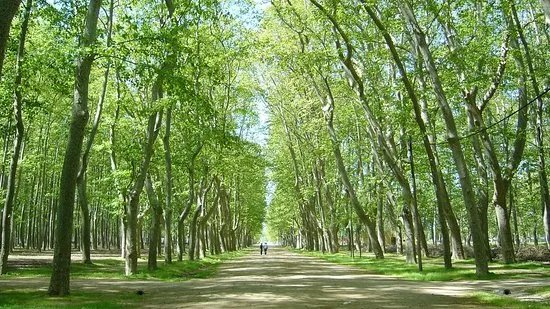 Parc de la Devesa