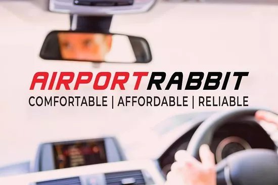 airport rabbit