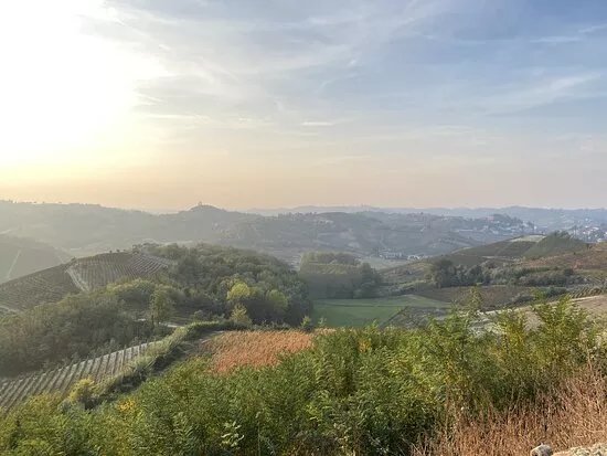 Azienda Agricola Laiolo Reginin