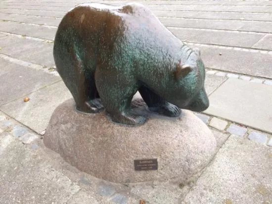 The Bear