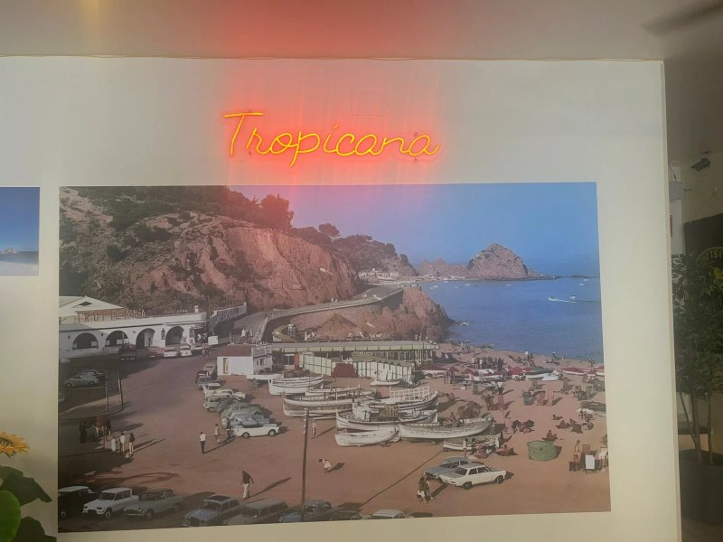 Frankfurts & Burgers Tropicana