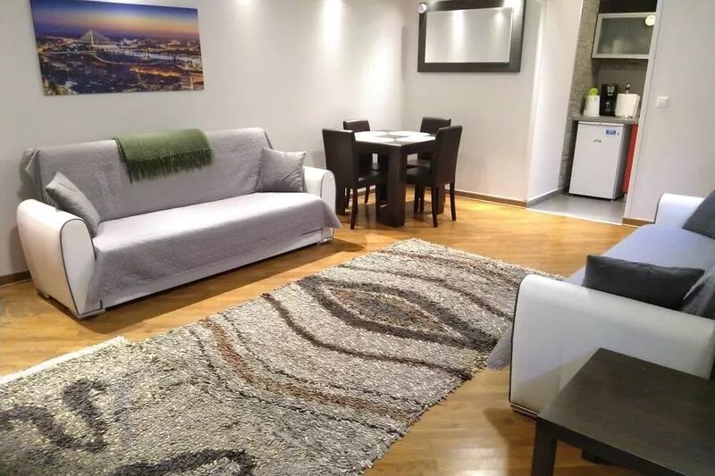 Apartment Dedinje - Free WiFi Free Street Parking - 60 sqm 646 sqft - Entire APT
