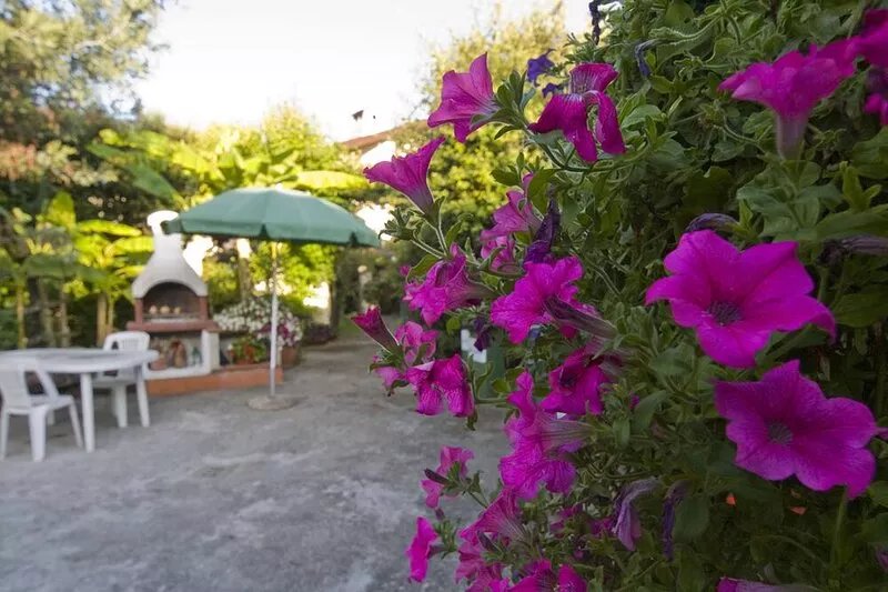 Day of Sun Apartment in villa, 10 min from the sea, private garden, swimming