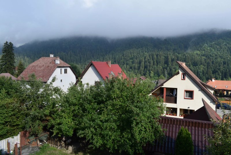 Panorama