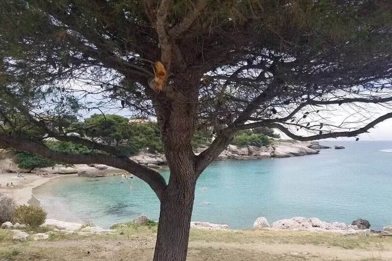 VIILA BORD DE MER CARRO COTE BLEUE NEAR SAUSSET LES PINS