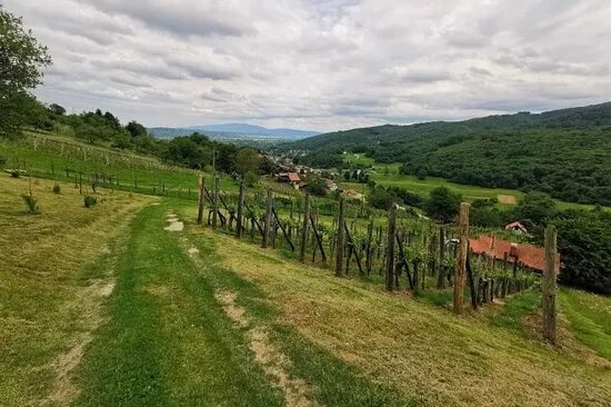 Real Slovenia Tours