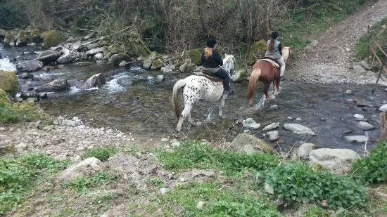 Ruscello Ranch