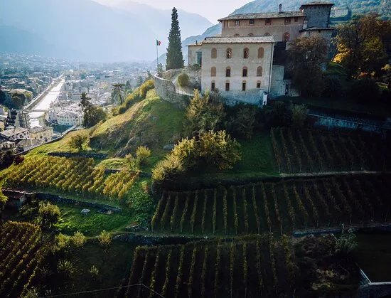 Alberto Marsetti Azienda Agricola