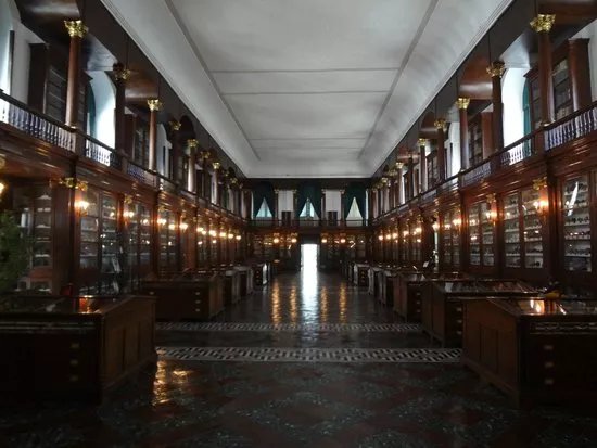 Centro Musei delle Scienze Naturali