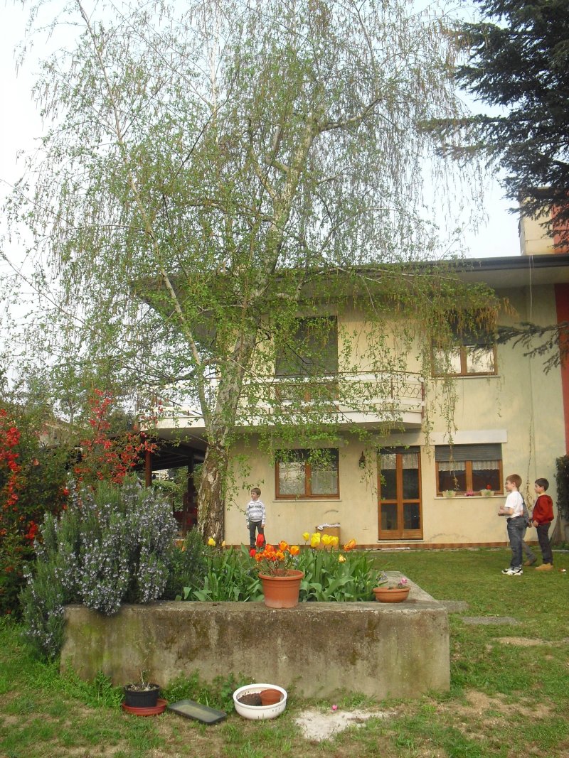 B&B The Garden