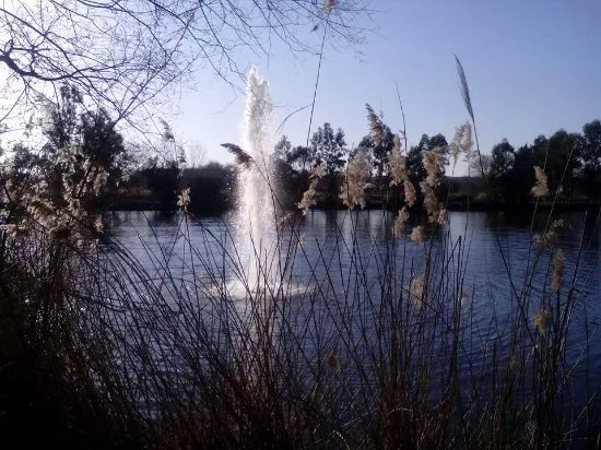 Parque Tierno Galvan