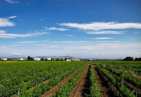 KTIMA AKRANI (Triantafyllopoulos Winery)
