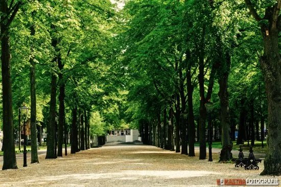 Lange Voorhout