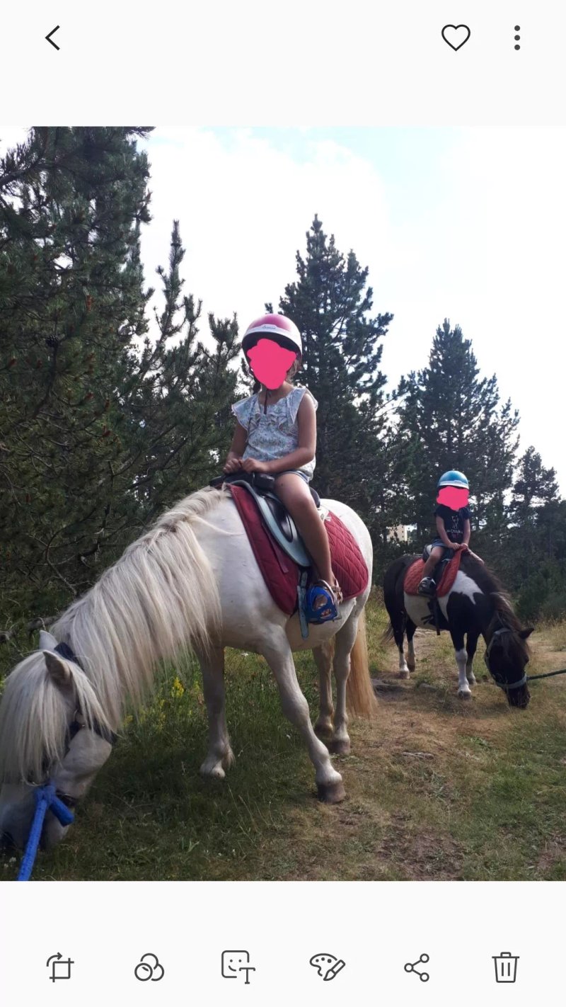 Centre Equestre de Font Romeu