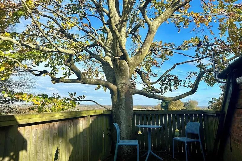 Studio & balcony with tree growing through it, spiral staircase, stunning views.