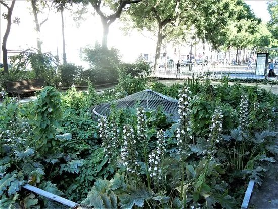 Jardin May-Picqueray