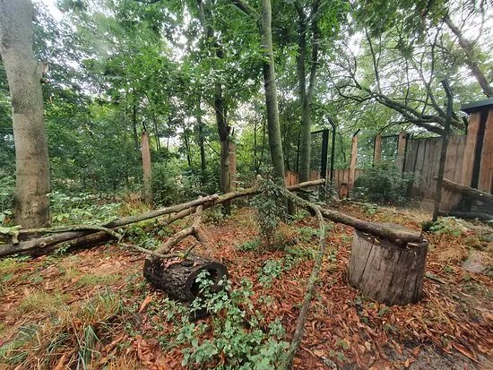 Heimattiergarten Schonebeck "Bierer Berg"