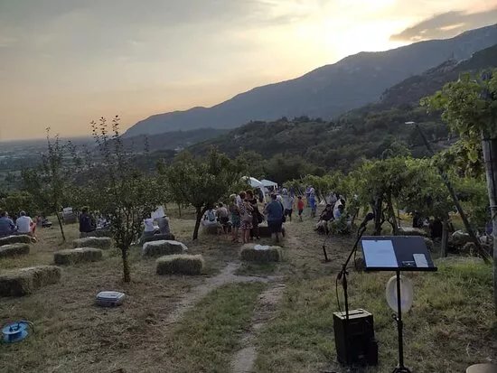 Noventa Bioviticoltori