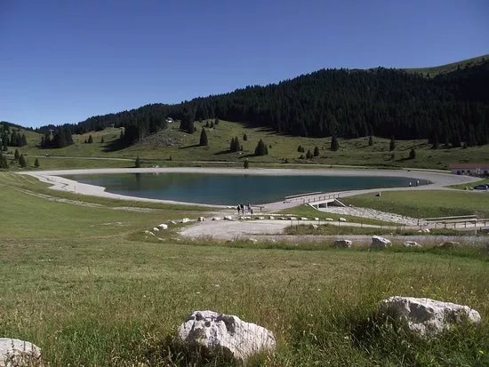 Giardino Botanico di Passo Coe - Fondazione Museo Civico di Rovereto