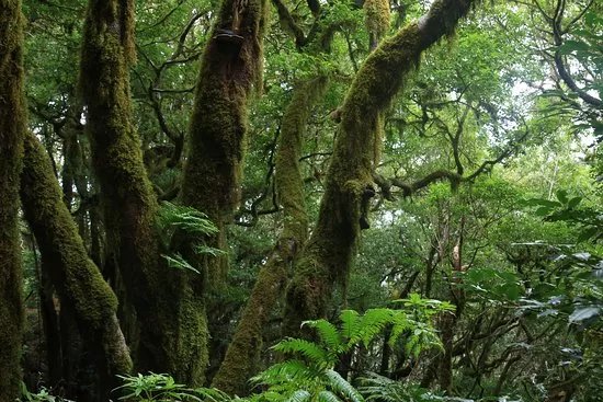 Sendero El Bosque Encantado
