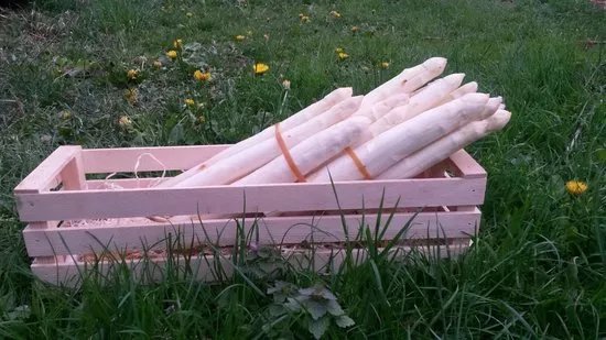 Unterkosslerhof Spargel ab Hof
