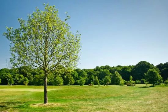 The Burstead Golf Club