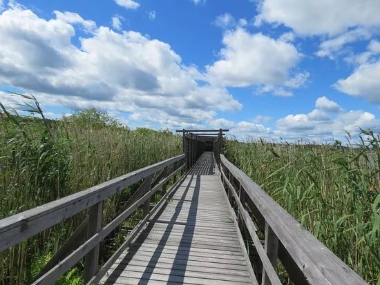 Hjalstaviken Naturreservat