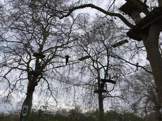 Go Ape Battersea