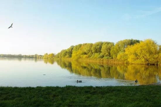 Priory Country Park