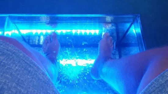 Magia Fish Spa