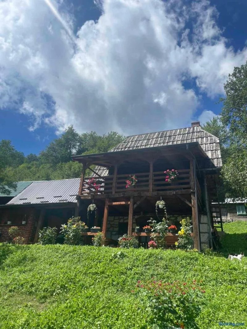 Apartments MG